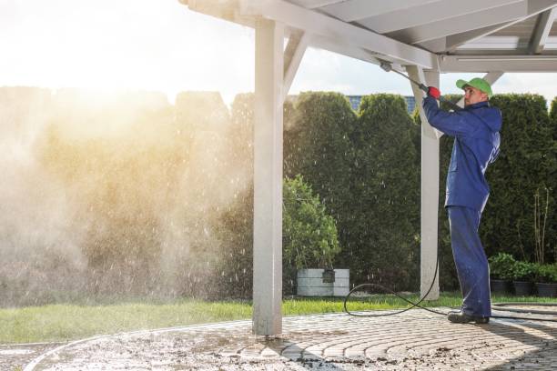 Best Window and Screen Pressure Cleaning in Lynnville, IN