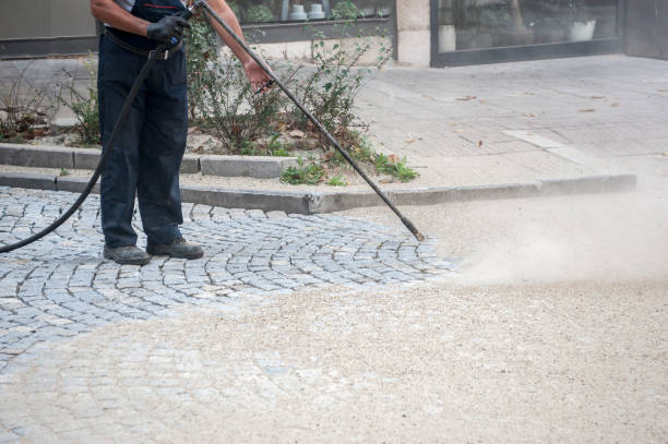 Best Brick and Stone Cleaning in Lynnville, IN